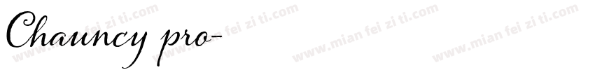 Chauncy pro字体转换